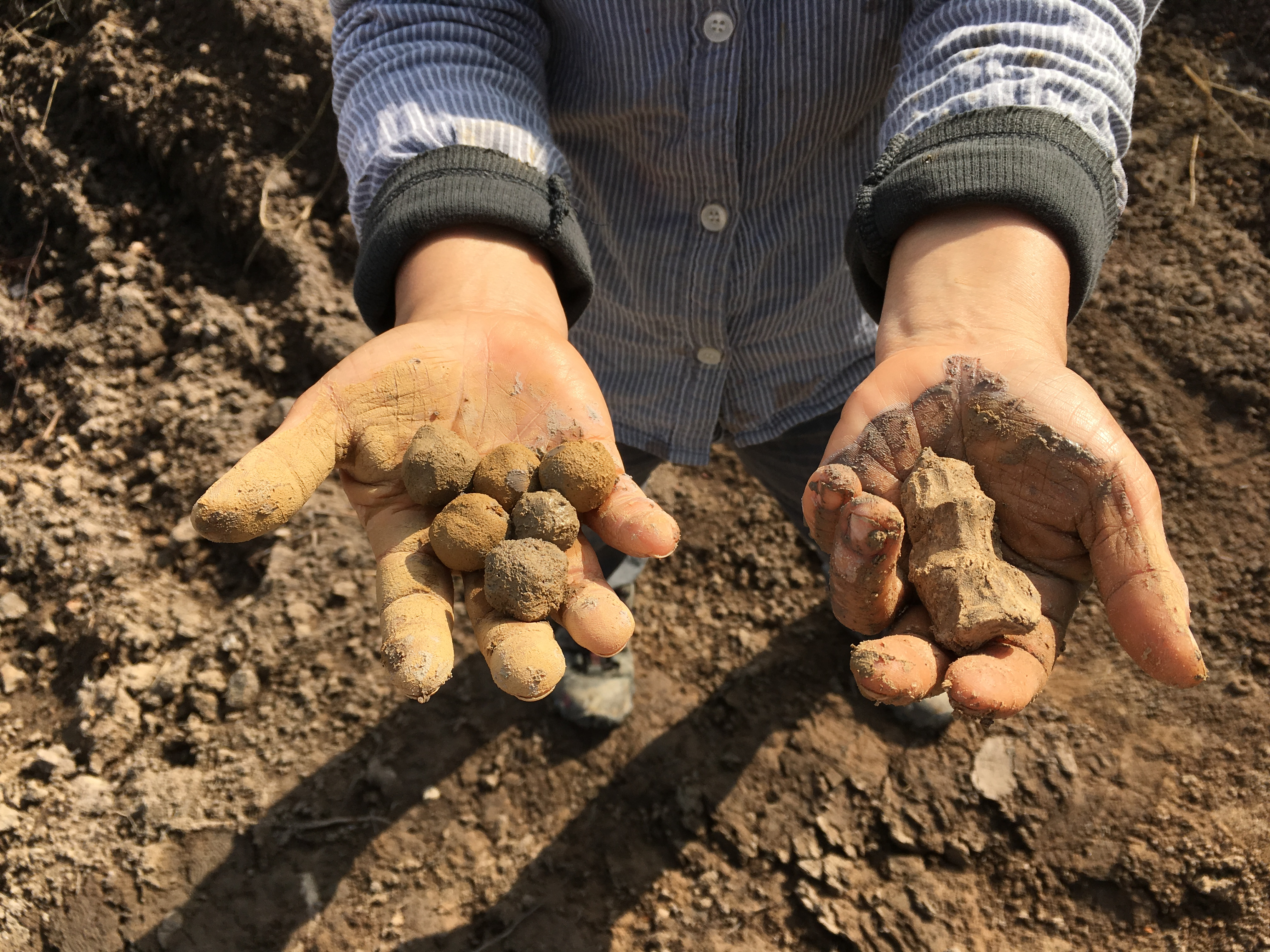 child holding mud balls